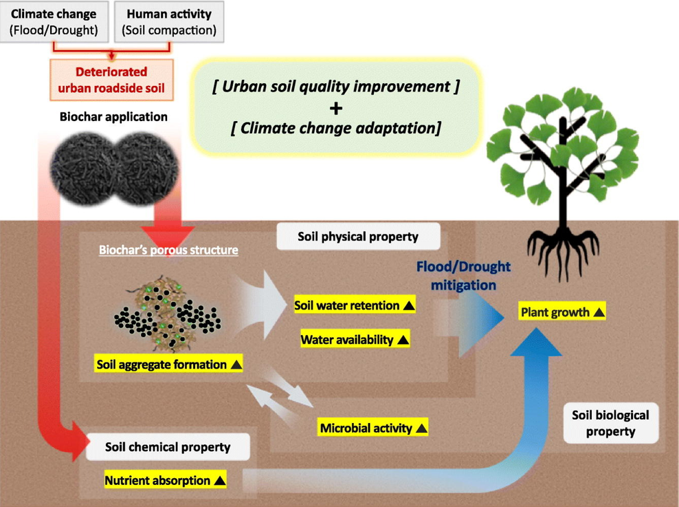 Biochar Info