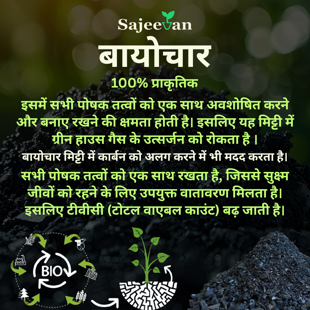 Biochar