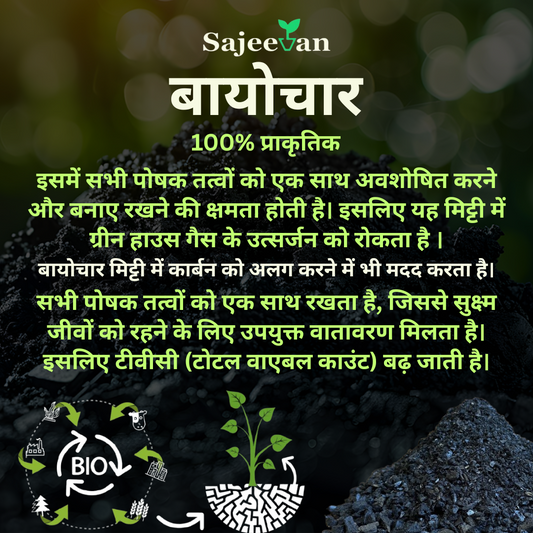 Biochar
