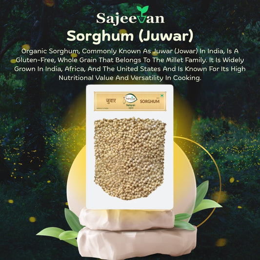 Sorghum (Juwar)